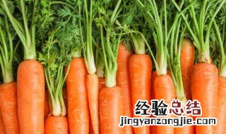 胡萝卜哪些人群不能吃 胡萝卜的禁忌人群