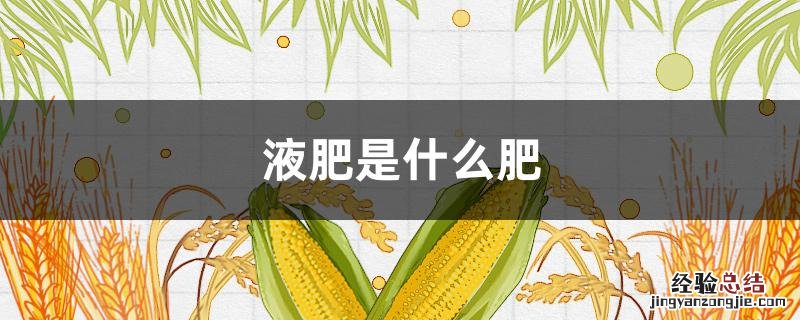 腐熟的液肥是什么肥 液肥是什么肥