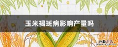 玉米褐斑病对玉米的影响 玉米褐斑病影响产量吗