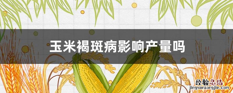 玉米褐斑病对玉米的影响 玉米褐斑病影响产量吗