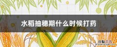 水稻抽穗期用什么药 水稻抽穗期什么时候打药