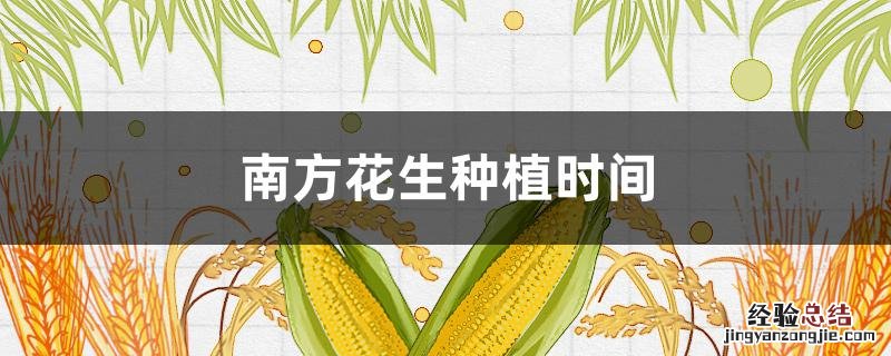 南方花生种植时间 南方花生种植时间是几月份