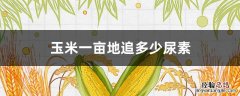 玉米一亩地追多少尿素肥 玉米一亩地追多少尿素
