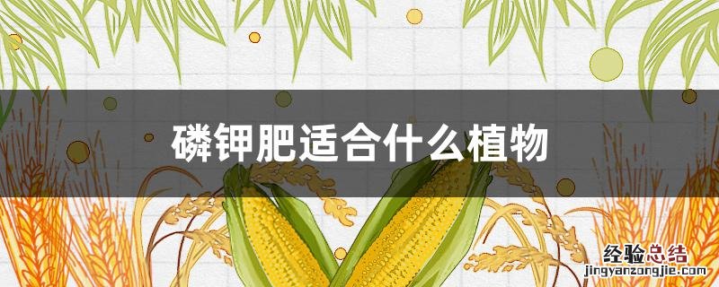 磷钾肥适合什么植物 磷钾肥适合什么植物施肥