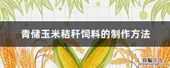 青贮玉米秸秆饲料的制作方法 青储玉米秸秆饲料的制作方法