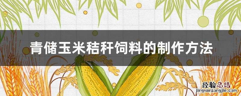 青贮玉米秸秆饲料的制作方法 青储玉米秸秆饲料的制作方法