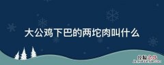 大公鸡下巴的两坨肉叫什么能吃不 大公鸡下巴的两坨肉叫什么