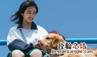 宠爱演员表 来这里了解下简单的剧情了