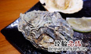 生蚝壳的功效与作用及禁忌 生蚝壳的功效与作用及禁忌是什么