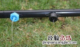 压力补偿滴头可调节吗 压力补偿滴头工作原理是什么