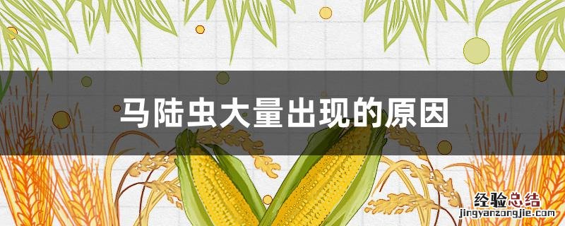 白天马陆虫大量出现的原因 马陆虫大量出现的原因