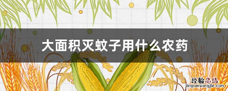 大面积灭蚊子用什么农药 大面积灭蚊子用什么农药,保持时间长