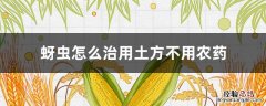 蚜虫怎么治用土方不用农药 蚜虫土办法怎么治