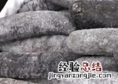 乌枣参的功效与作用 乌枣功效和作用