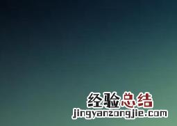 波斯菊怎么养殖 波斯菊如何养殖