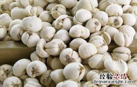 贝母的功效与作用的功能与主治 贝母的功效与作用
