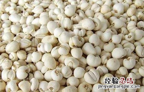 贝母的功效与作用的功能与主治 贝母的功效与作用