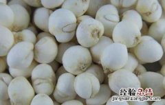贝母的功效与作用的功能与主治 贝母的功效与作用