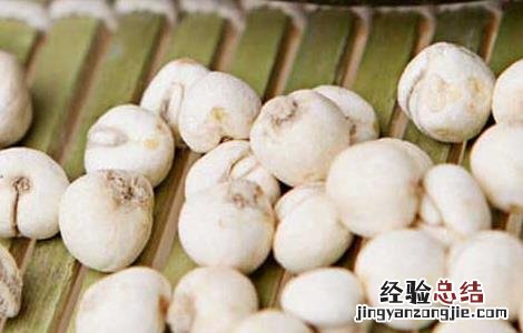 贝母的功效与作用的功能与主治 贝母的功效与作用