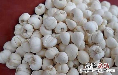 川贝母有什么副作用和禁忌 川贝母有什么副作用