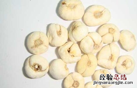 川贝母有什么副作用和禁忌 川贝母有什么副作用