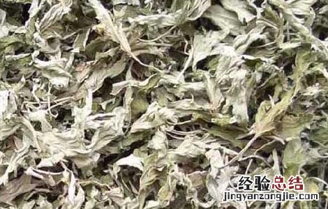 艾叶水的功效与作用 艾叶水给宝宝洗澡的功效与作用