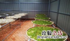 文冠果花茶制作方法 文冠果叶茶制作工艺