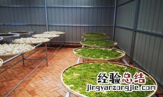 文冠果花茶制作方法 文冠果叶茶制作工艺
