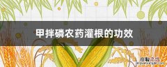 甲拌磷水灌根一亩地用多少 甲拌磷农药灌根的功效