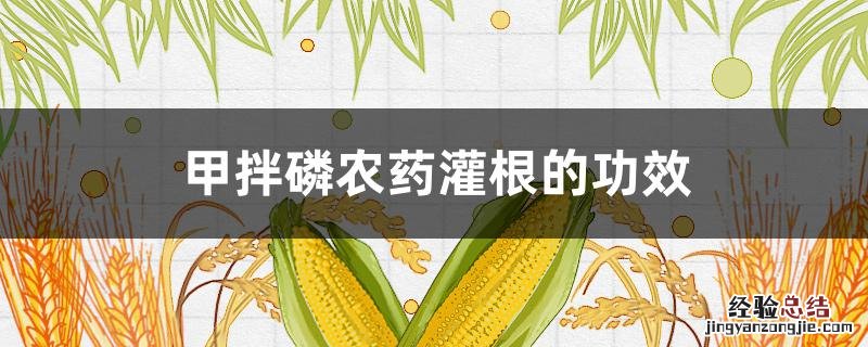 甲拌磷水灌根一亩地用多少 甲拌磷农药灌根的功效
