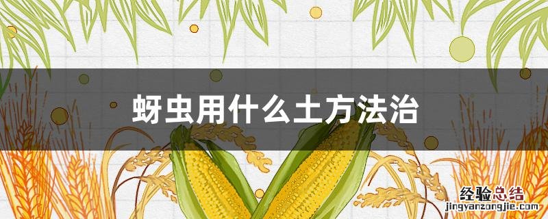 蔬菜蚜虫用什么土方法治 蚜虫用什么土方法治