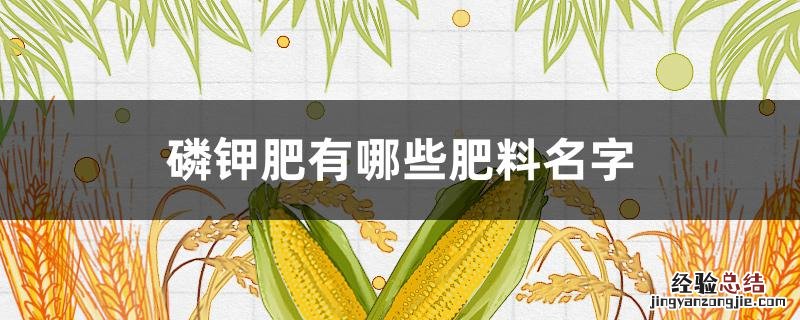 磷钾肥有哪些肥料名字 钾肥的名称