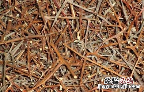 皂角刺的功效与作用 皂角刺的功效与作用的功能与主治