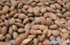 郁李仁的功效与作用图片 郁李仁的功效与作用
