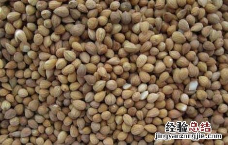 郁李仁的功效与作用图片 郁李仁的功效与作用