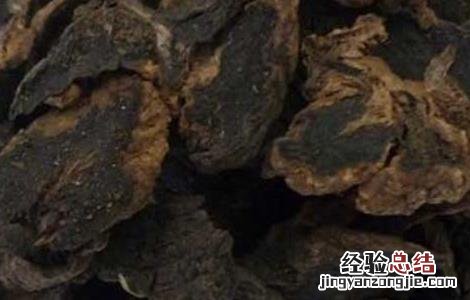元参的功效与作用是什么 元参的功效与作用