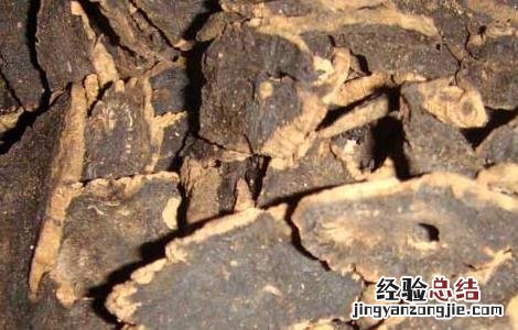 元参的功效与作用是什么 元参的功效与作用