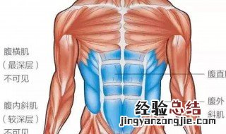 下腹部怎么练腹肌 下腹部如何练腹肌
