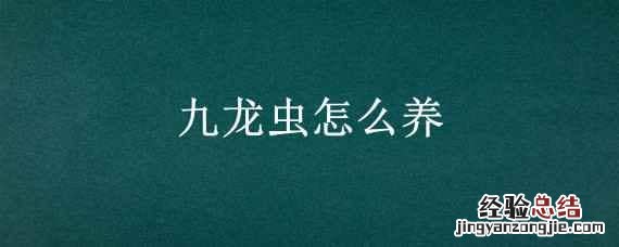 九龙虫怎么养 九龙虫怎么养多久能吃