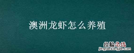 澳洲龙虾怎么养殖的 澳洲龙虾怎么养殖