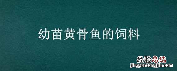 幼苗黄骨鱼的饲料 黄骨鱼幼苗吃什么饲料