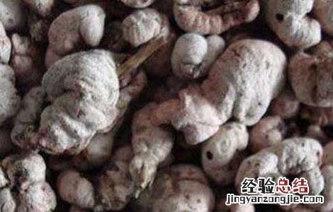竹黄的功效与作用 竹黄的功效与作用的功能与主治