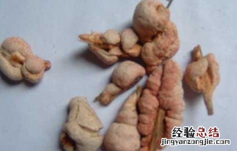 竹黄的功效与作用 竹黄的功效与作用的功能与主治
