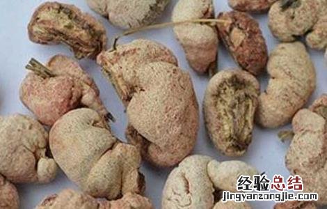 竹黄的功效与作用 竹黄的功效与作用的功能与主治