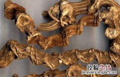 竹节参的功效与作用 竹节参的功效与作用图片