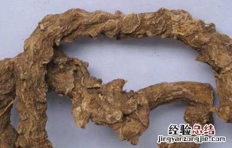 竹节参的功效与作用 竹节参的功效与作用图片
