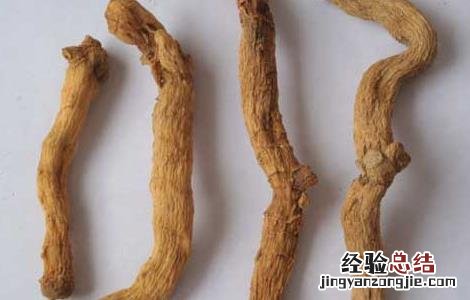 竹节参的功效与作用 竹节参的功效与作用图片