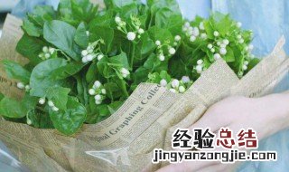 兔粪可以直接做花肥吗 兔粪可以做肥料吗?