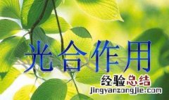 光合作用暗反应能不能产生水分 光合作用暗反应能不能产生水