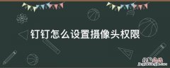 钉钉开启摄像头权限 钉钉怎么设置摄像头权限